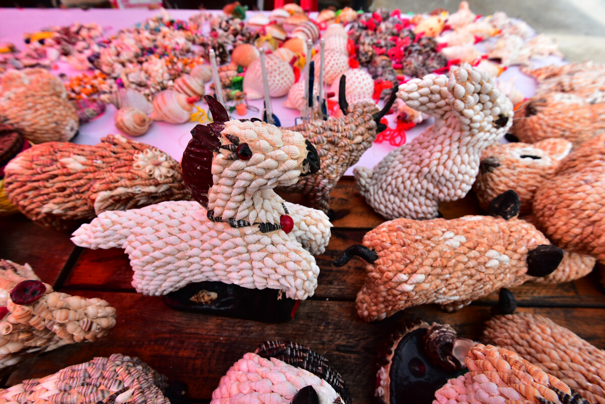 海島村貝殼工藝品的設(shè)計(jì)與創(chuàng)作之道